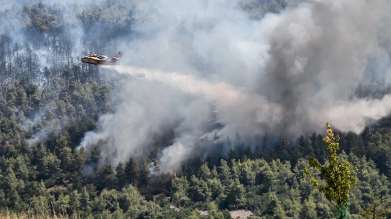 Φωτιά στα Μέγαρα: Εξαπλώνεται το μέτωπο